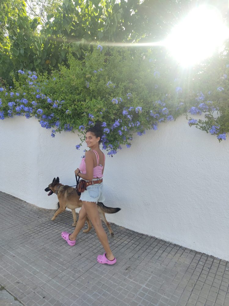 Paseo con un perro por el Baix Maestrat