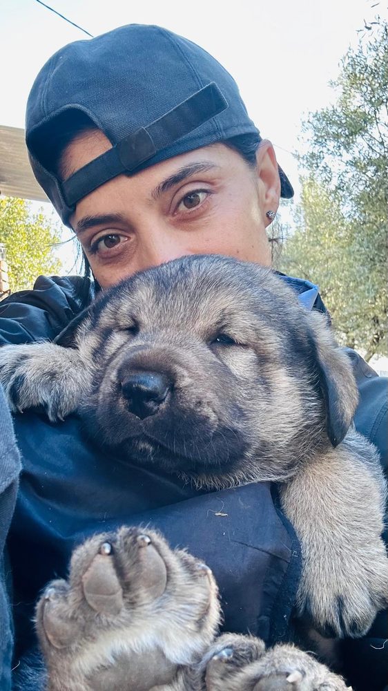 Paseo con perro por la zona