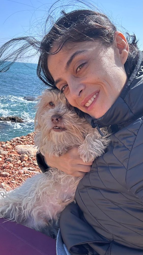 Perro atendido durante su paseo diario