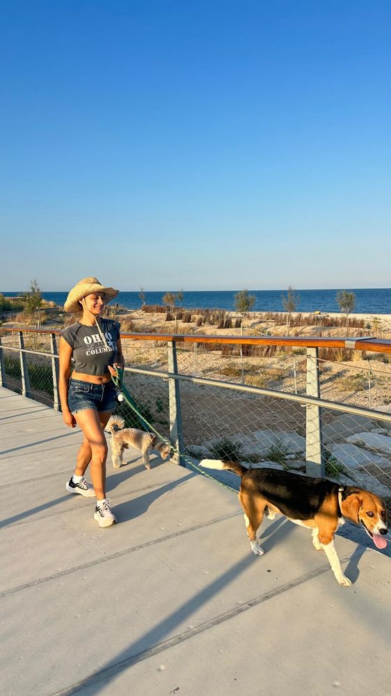 Perro en un paseo por la comarca