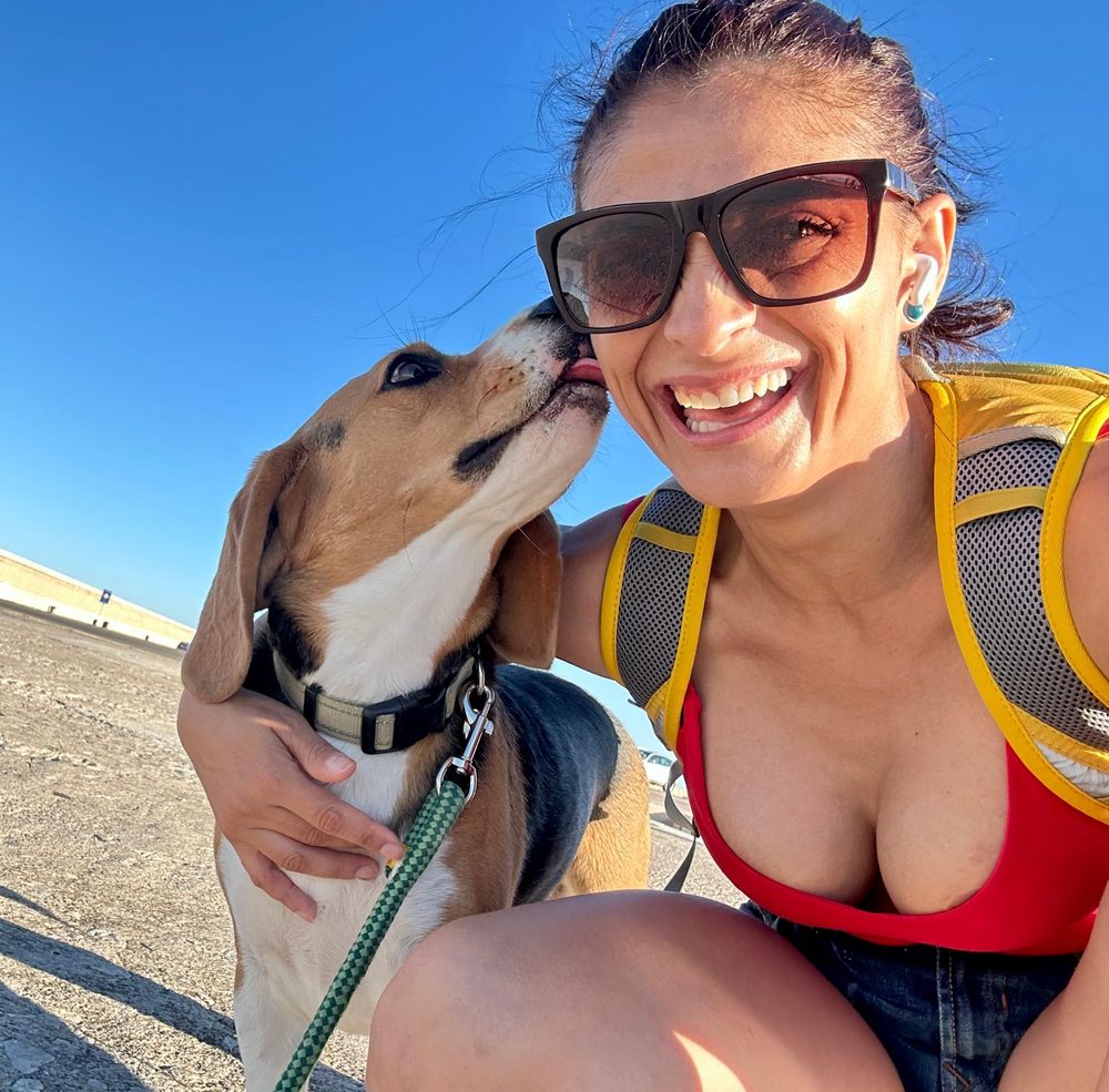 Perro disfrutando durante un paseo