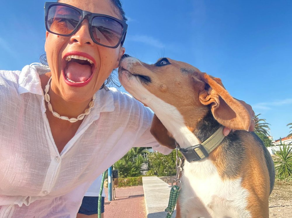 Perro paseando por un camino