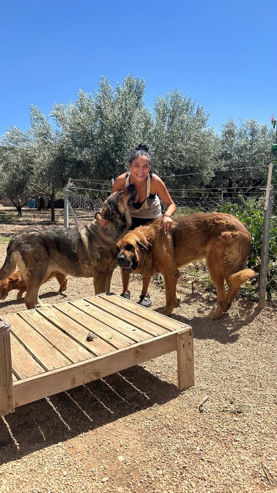 Paseo canino por la zona